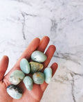 Amazonite- tumbled stone