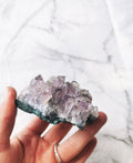 Amethyst- Cluster