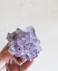 Amethyst- Cluster