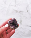 Amethyst- small cluster