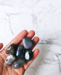 Moss Agate- Tumbled stone